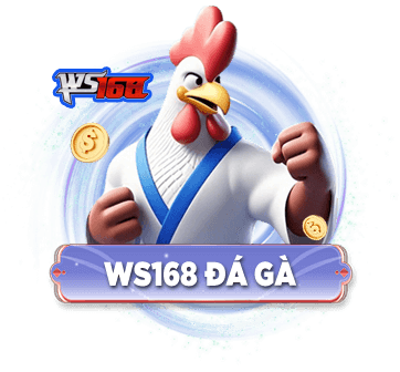 ws168